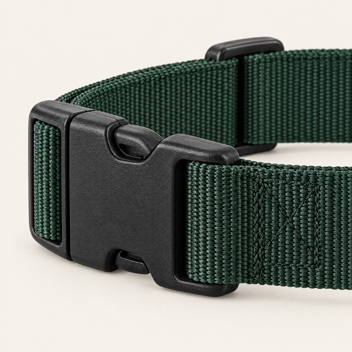 02 Buckle Detail