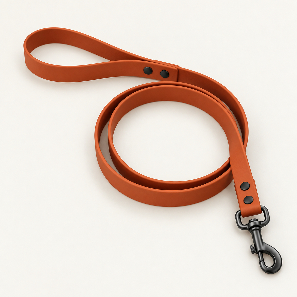 Rinse Pro BioThane Dog Leash — Frog Connector