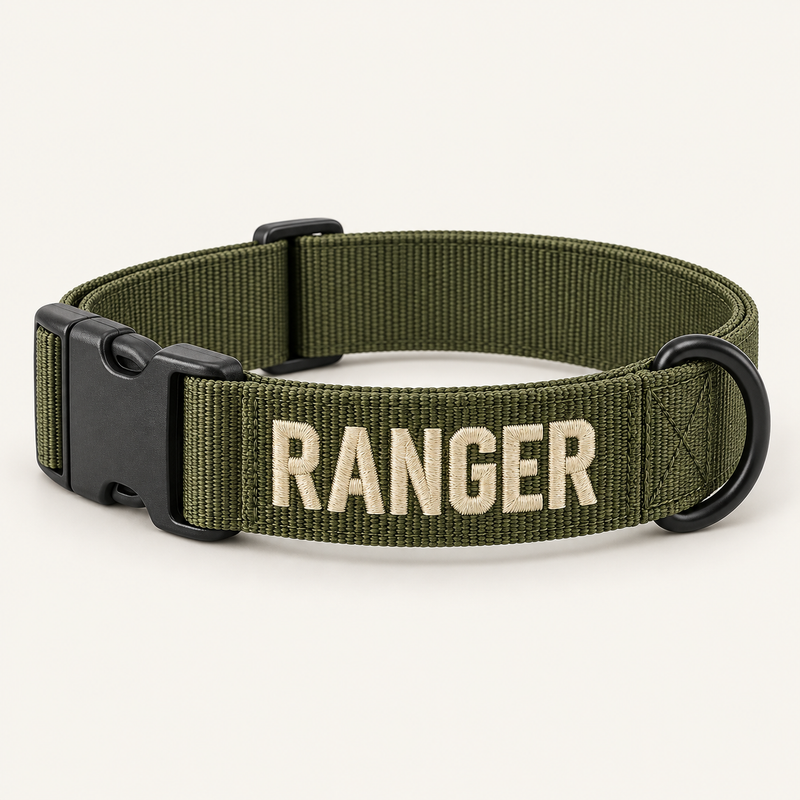 Army green nylon dog collar with polymer buckle and cream embroidery
